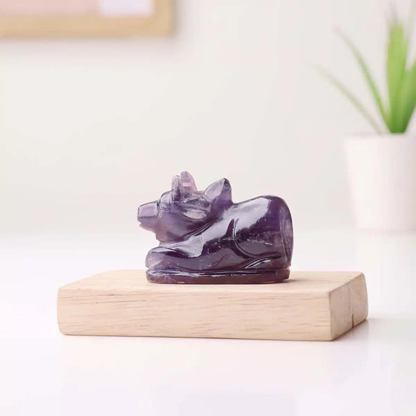 Amethyst Nandi