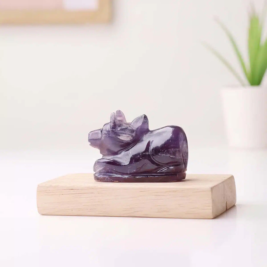Amethyst Nandi