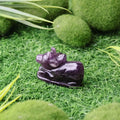 Amethyst Nandi