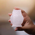 Clear Quartz Carved Owl 3 Inches