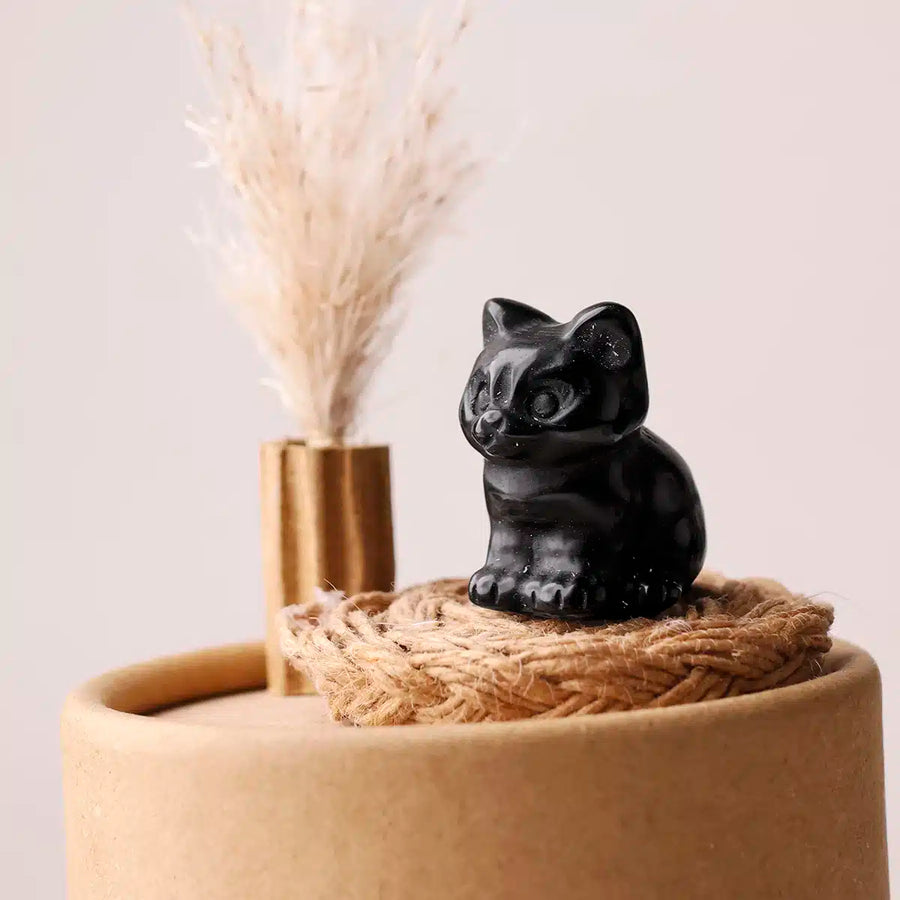 Mixed Sitting Cat