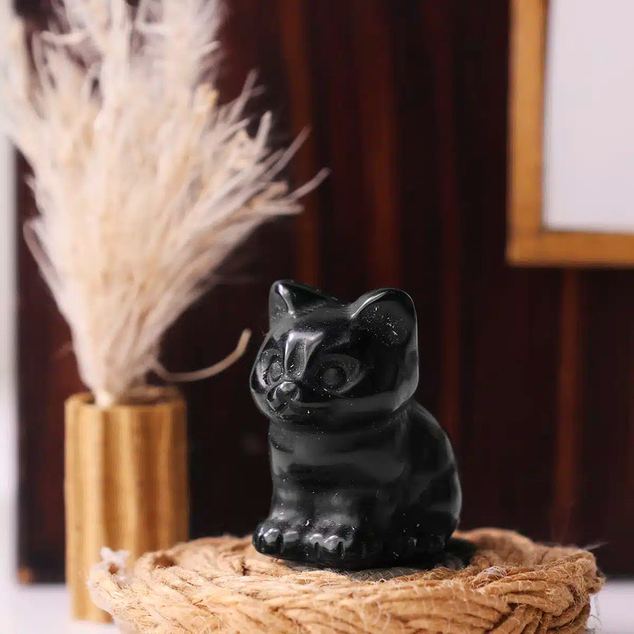 Mixed Sitting Cat