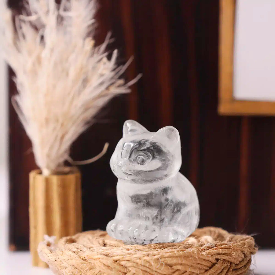 Mixed Sitting Cat