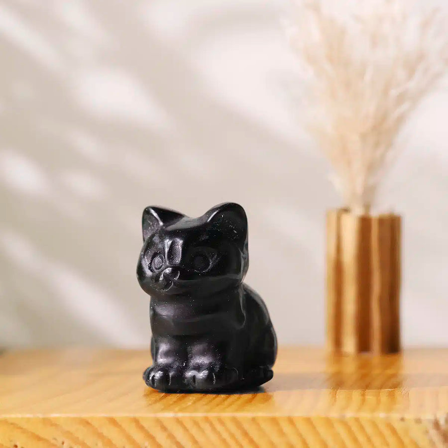Mixed Sitting Cat