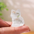 Mixed Sitting Cat